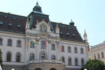Fototapeta na wymiar Das Rathaus von Ljubljana (Slowenien)
