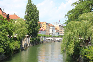 Fototapeta na wymiar Die Ljubljanica in Ljubljana (Slowenien)