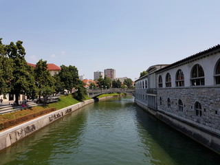 Fototapeta na wymiar Brücke über den Fluss Ljubljanica in Ljubljana (Slowenien)