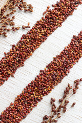 Grains of red millet lined with two stripes on a white background. Close-up