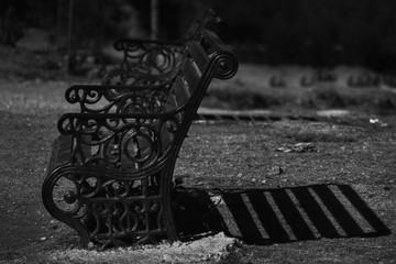 bench in the park