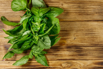 Green basil on a wooden table