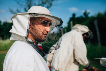 Fototapeta na wymiar Close up of a beekeeper with beard and protective suit