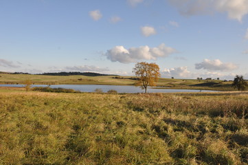Jeziorany