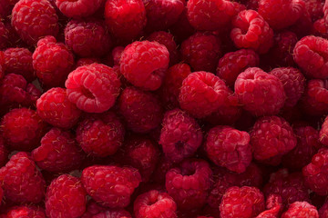 Delicious fresh and sweet red raspberries as food background. Healthy food organic nutrition.