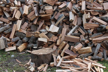 pile of fire wood