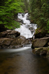 Im bayerischen Wald