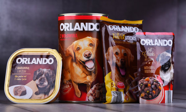 Orlando dog outlet food