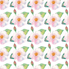 Seamless pattern. Flowers and fruits of rose hips Watercolor. Flower illustrations. Bohemian bouquets of flowers, wreaths, wedding compositions, anniversary, birthday, invitations greeting cards