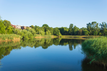 Fototapeta na wymiar Lake in the city Park landscape