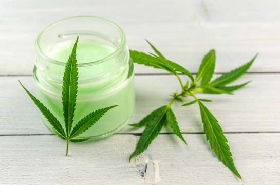 CBD Cannabis Hemp topical cream balm with cannabis leafs
