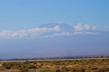 the kilimanjaro in kenya