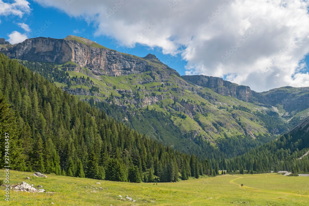 Sticker Beautiful valley with a meadow and forest and mountains in the dolomites