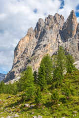 Naklejka premium Mountain peaks in the dolomites with conifers