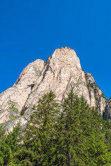 Mountain peak with a spruce forest