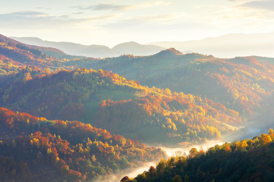 fog in the valley at sunrise. beautiful autumn scenery in mountains. forest on the hill in fall foliage. fluffy clouds on the sky