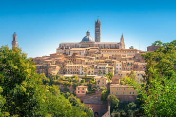 Fototapeta premium Siena typical Italian Medieval town on a hill