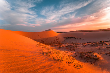 Fototapeta na wymiar Lonely sand dunes under amazing evening sunset sky at drought desert landscape. Global warming concept