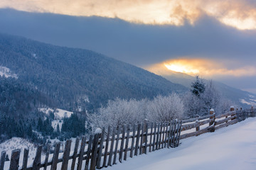 Fototapeta premium rural countryside in winter. beautiful sunrise with cloudy sky in mountains. wooden fence along the snow covered hill. trees in hoarfrost
