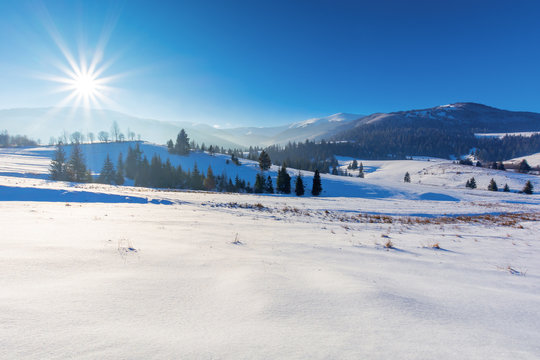 wonderful countryside in mountains. beautiful winter landscape on a sunny day. trees on snow covered hills. sun on the clear blue sky. ridge with snow capped tops in the distance