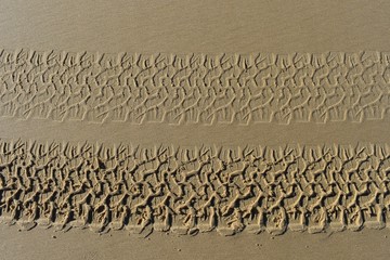 Track marks on deserted beach