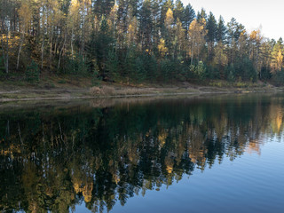 autumn forest with reflections in calm water
