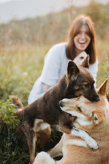 Stylish boho girl and  two cute dogs playing in grass and wildflowers in sunny meadow in mountains at sunset. Traveling together with pets. Young woman smiling at her dogs having fun