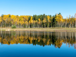 autumn forest with reflections in calm water