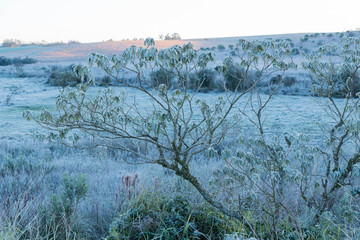 Rural fields covered with frost
