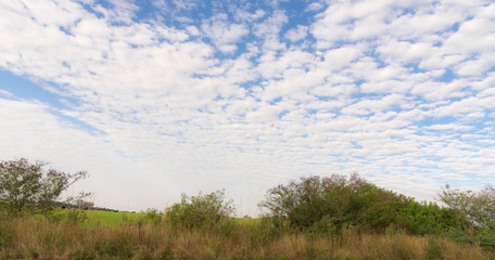 Obraz premium Rural landscape in farm in Brazil 02