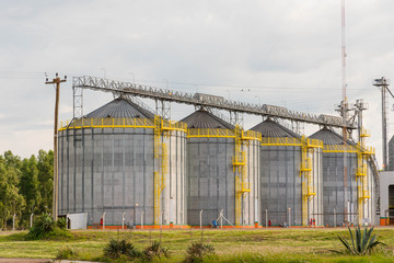 Fototapeta na wymiar Set of bulk silos in Brazil for receiving soybean 01