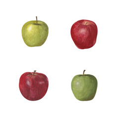 Set of bright watercolor fruits. Green and red apples of different varieties isolated on white background.