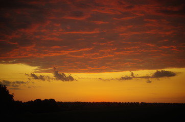 Fototapeta premium sunset