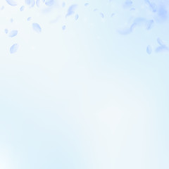 Light blue flower petals falling down. Awesome rom