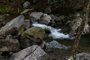 Naklejka na ściany i meble Cascading mountain stream in Great Smoky Mountains National Park