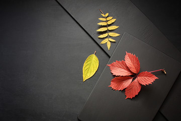 Autumn flat lay. Composition of different colorful fallen leaves on chalkboard background with copy space. Fall, back to school, seasonal concept