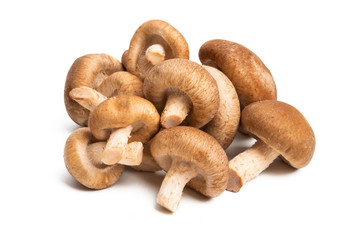 shiitake mushrooms isolated