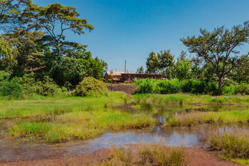 Swampy area and waterhole in the grasslands