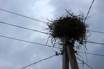 storks nest on the concrete pillar closeup