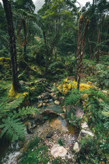 Waterfall in Caldeira Velha, ribeira grande, Natural Spa, Sao Miguel, Azores, Portugal