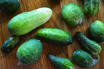 A lot of fresh green tryed cucumbers for salad lay on a wooden kitchen board.