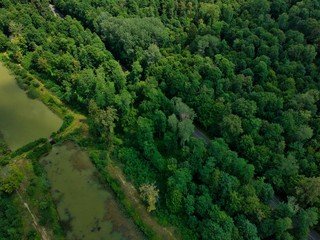 Fototapeta na wymiar aerial view of green forest