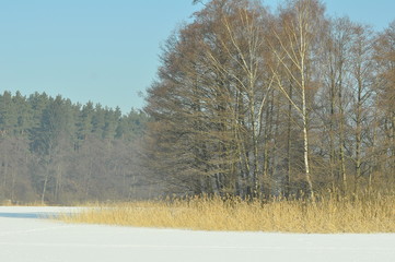 Jezioro Skanda w Olsztynie