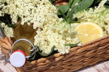 Holunderblüten-Rezepte, Holunderblüten-Saft, Rezepte mit Wildkräuter, eine Flasche Holunderblüten-Sirup in einem Korb mit Holunder-Blüten und Zitronen-Scheiben