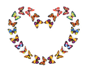 Paper Butterflies in Heart Shape