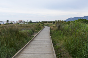 Wooden path way in the middle of the nature