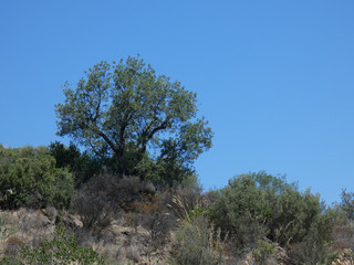 Paesaggio
