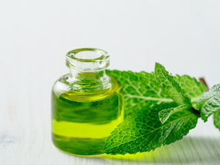 Organic essential mint oil or melissa oil with green leaves of mint. Mint melissa oil on white...