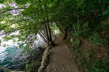 Fototapeta na wymiar Path along a lake in the forest