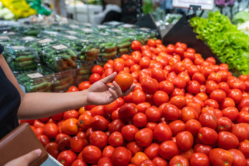 Woman holding purse and buying tomato at grocery store